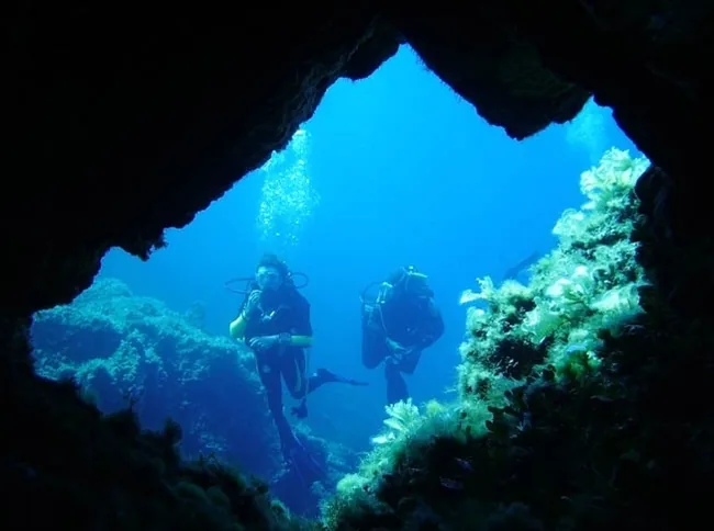 Anthias Diving à Cargèse, Corse-du-Sud (2A)