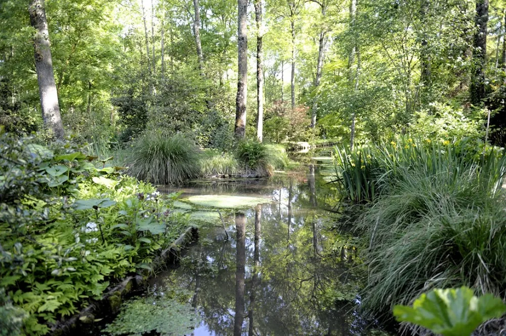 Arboretum des Prés des Culands à Meung-sur-Loire, Loiret (45)