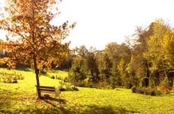 Arboretum de la Tuilliere à Ayen, Corrèze (19)