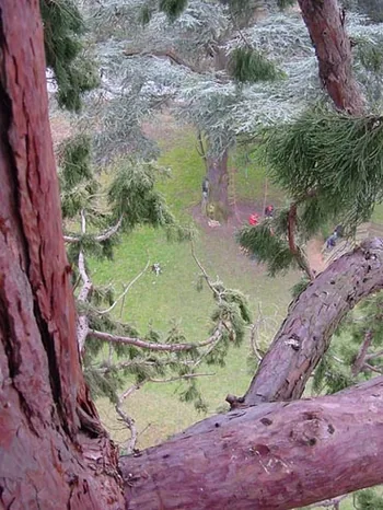 Arbr'Evasion à Saint-Fargeau-Ponthierry, Seine-et-Marne (77)