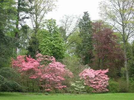 Arboretum de Balaine à Villeneuve-sur-Allier, Allier (03)