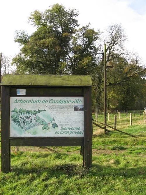 Arboretum de Canappeville à Canappeville, Eure (27)