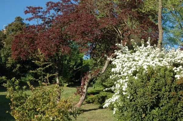 Arboretum des Pouyouleix à Saint-Jory-de-Chalais, Dordogne (24)