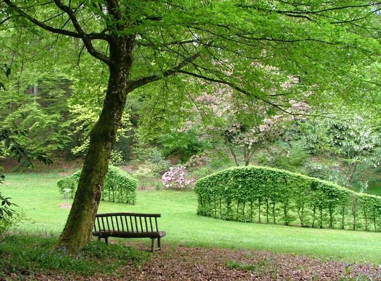Arboretum de la Sédelle à Crozant, Creuse (23)