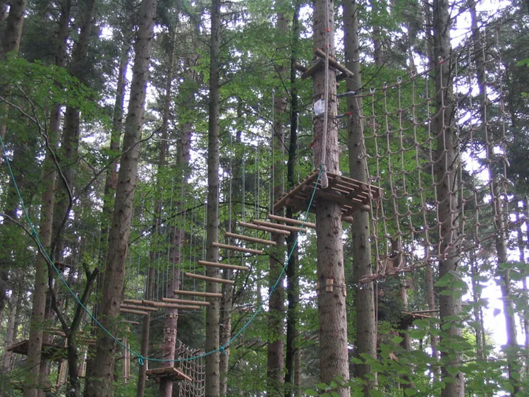 Arbr'Ascension du Nideck à Oberhaslach, Bas-Rhin (67)
