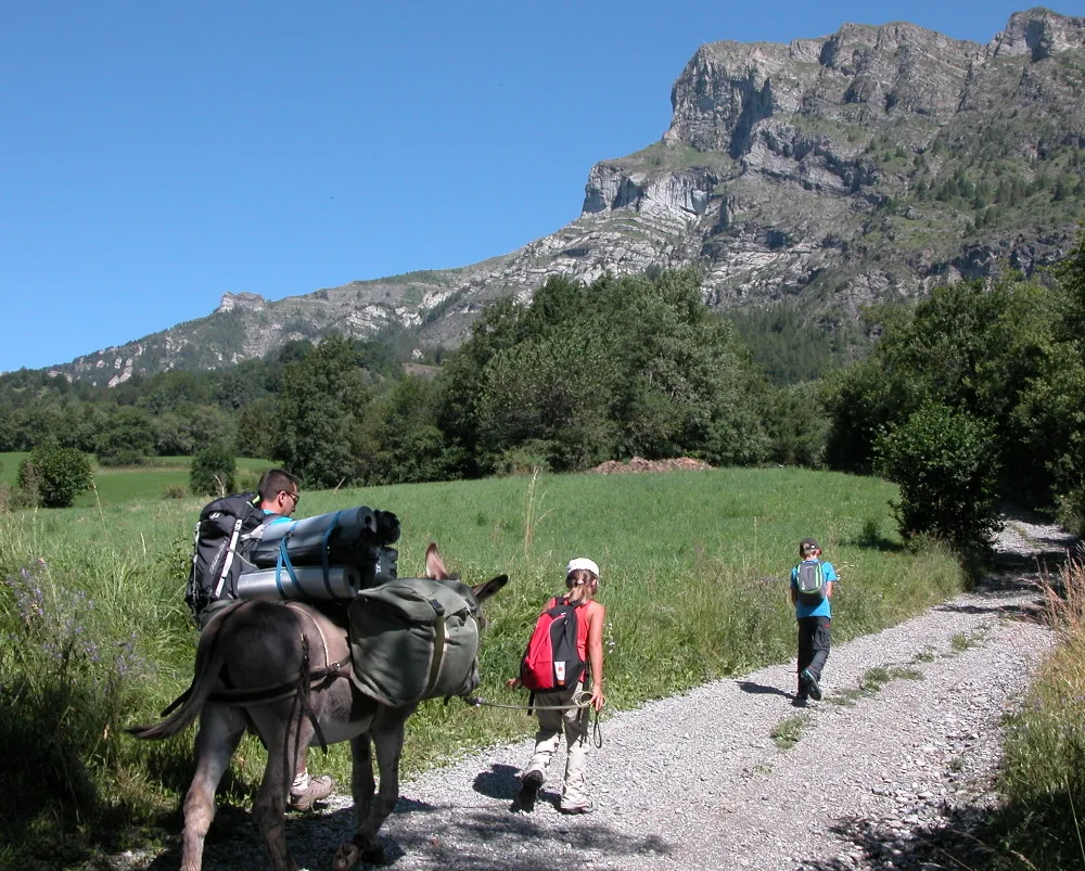Asinerie le Sentier des Anes à Saint-Julien-en-Champsaur, Hautes-Alpes (05)