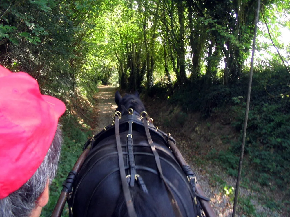balade dans le chemin Pierre Morencé 