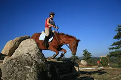 Initiation à l'équitation de pleine nature avec le TREC !