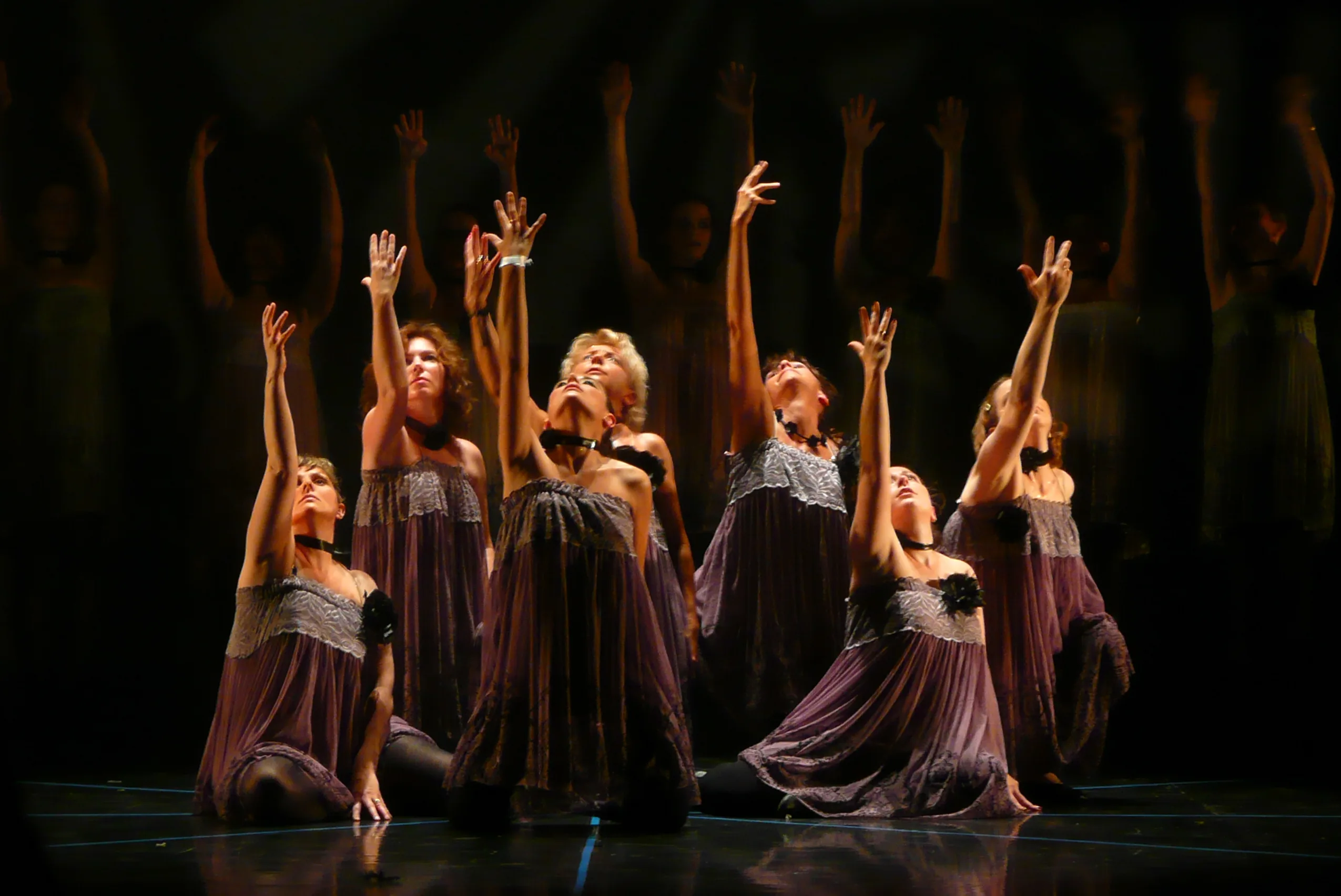 Association Une Passion pour la Danse à Le Chesnay, Yvelines (78)