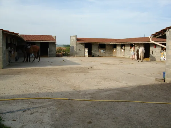 Association Poney-club - Les Joncs à Griselles, Loiret (45)