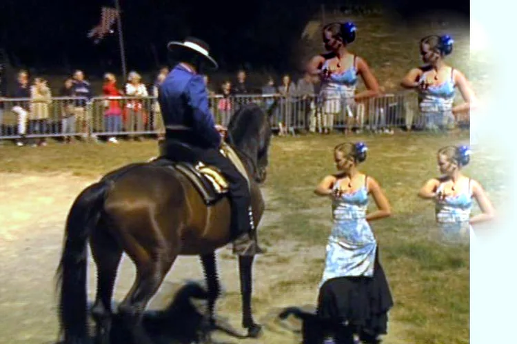 Ass Chevaux Iberiques à Saint-Hilaire-de-Brethmas, Gard (30)
