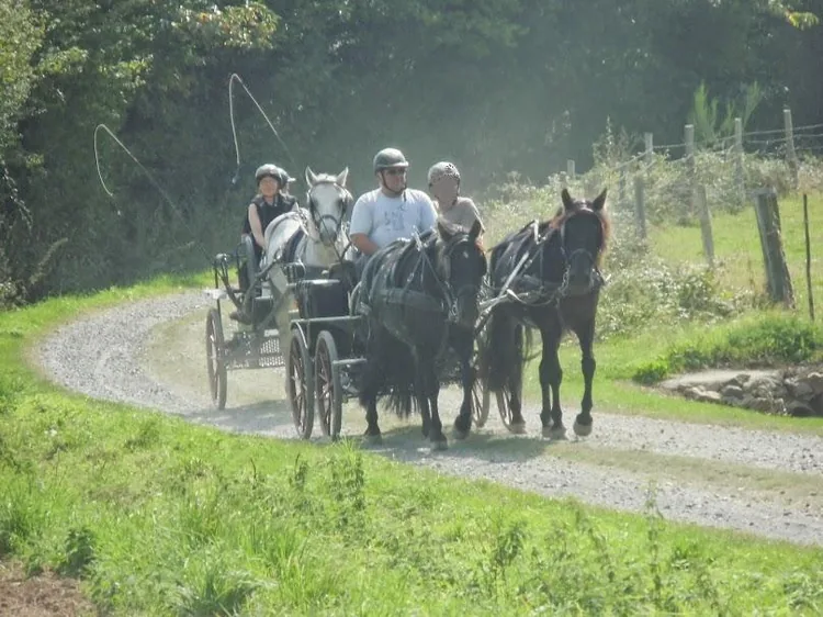 Association Equi'Attelage-Cavaliers des Fontenelles à Chanteloup, Ille-et-Vilaine (35)