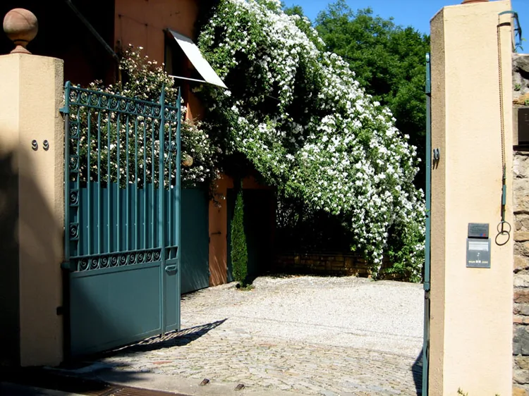 Association des Roses Anciennes de la Bonne Maison à La Mulatière, Rhône (69)