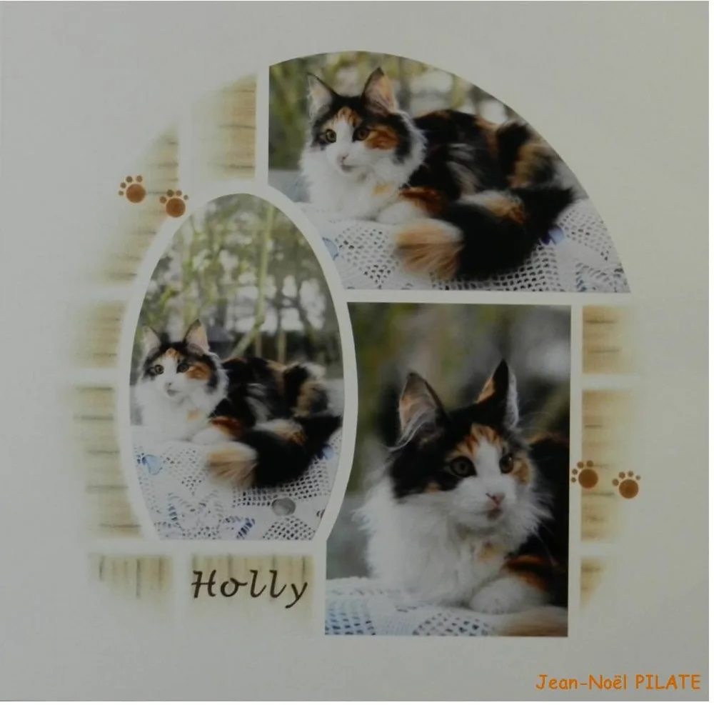 Ateliers et cours de Scrapbooking AZZA à Gidy, Loiret (45)