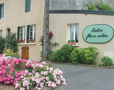 Atelier de Fleurs Séchées à Illy, Ardennes (08)