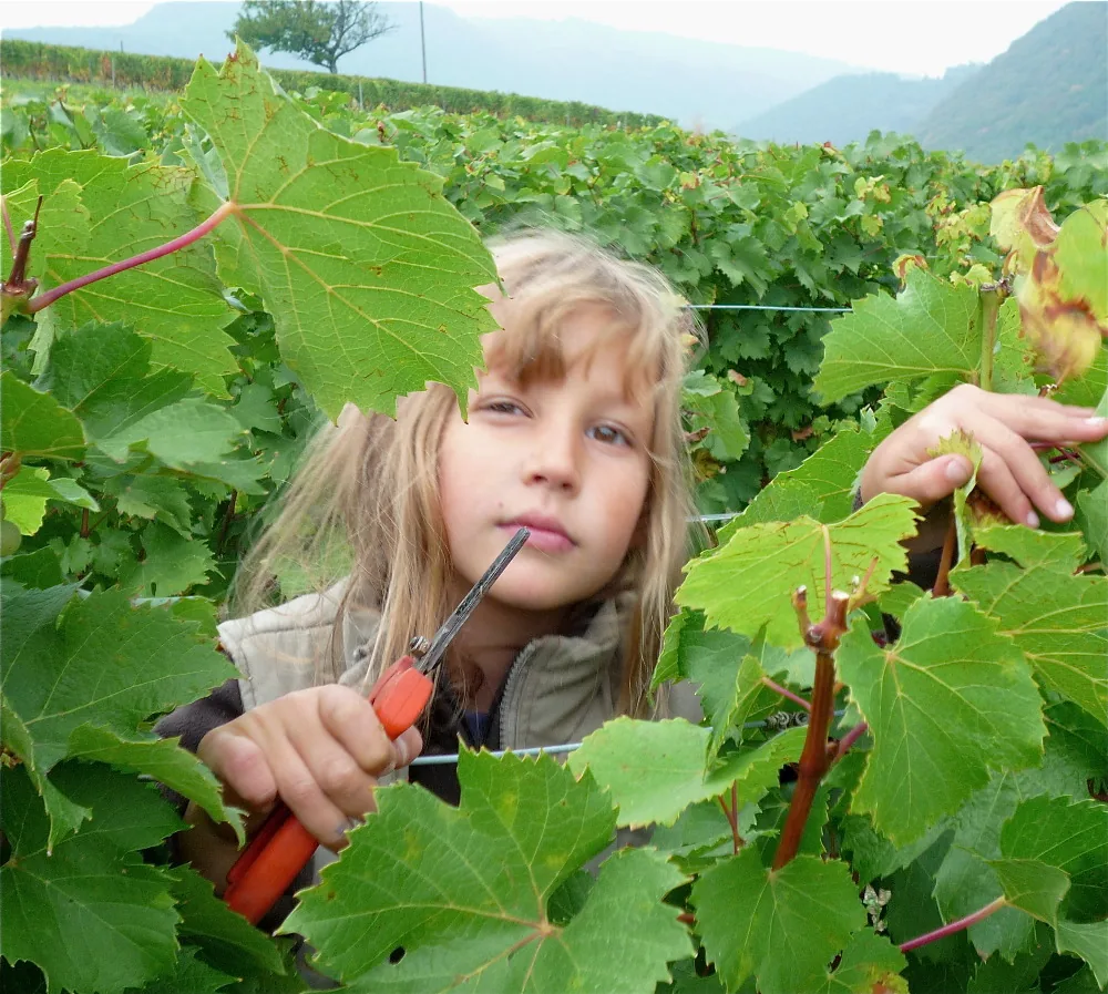 Aux Fruits de la Treille à Myans, Savoie (73)
