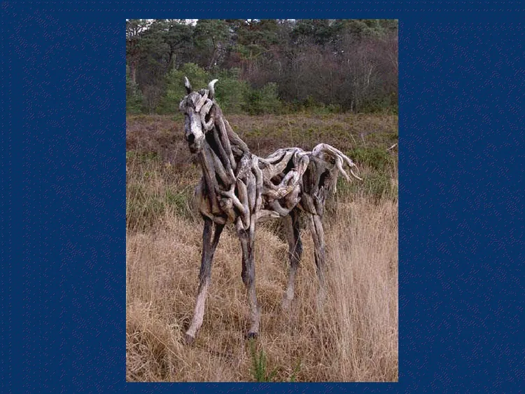 Aubance Equitation à Vauchrétien, Maine-et-Loire (49)