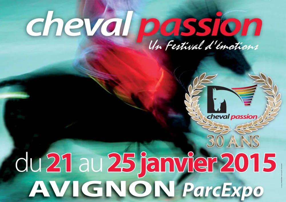 Avignon Tourisme en Avignon, Vaucluse (84)