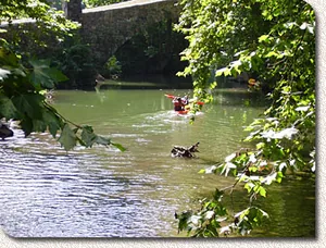Balade et Sensations à Saint-Pée-sur-Nivelle, Pyrénées-Atlantiques (64)