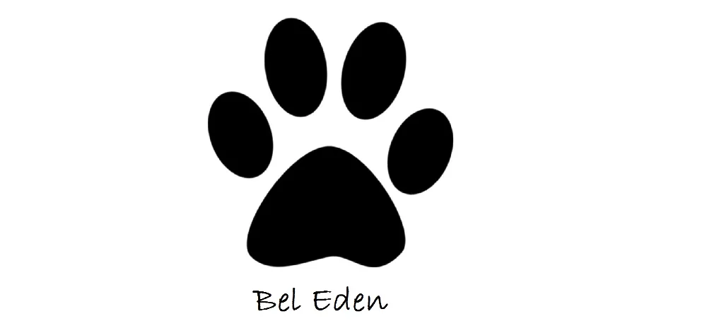 Bel Eden à Aiglemont, Ardennes (08)