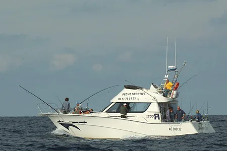 Bluefin Tuna à Lège-Cap-Ferret, Gironde (33)