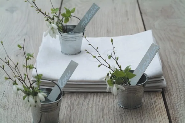 Botanique Éditions à Feucherolles, Yvelines (78)