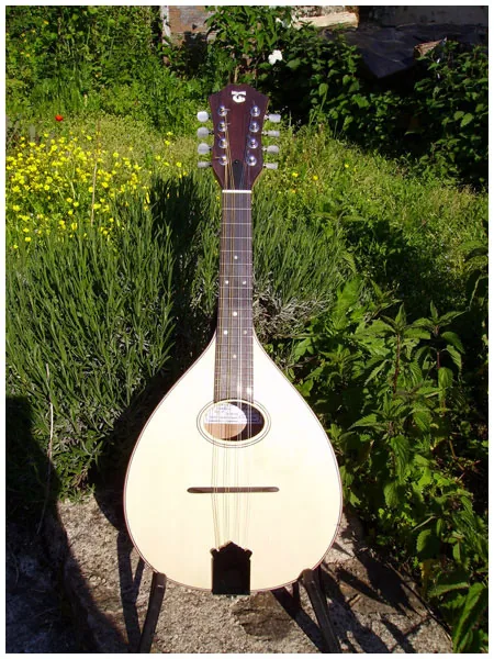 Bruno Torres - Luthier à Saint-Germain-de-Confolens, Charente (16)