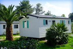 Camping de l'Arbre Blanc à Argelès-sur-Mer, Pyrénées-Orientales (66)