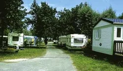 Camping des Oliviers à Saint-Denis-d'Oléron, Charente-Maritime (17)