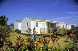 Camping Le Pin Parasol à La Chapelle-Hermier, Vendee (85)