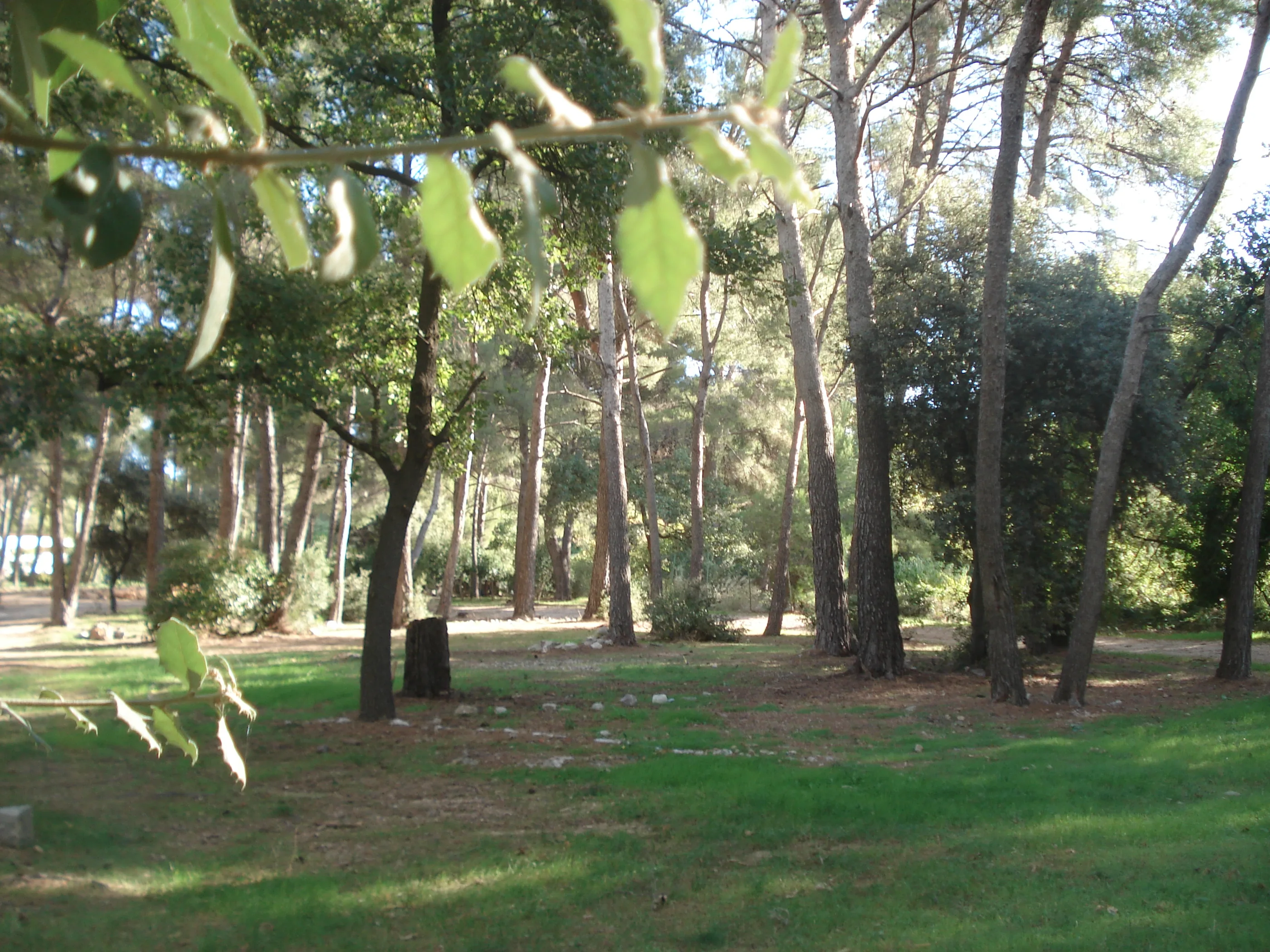 Camping Du Garlaban à Aubagne, Bouches-du-Rhône (13)