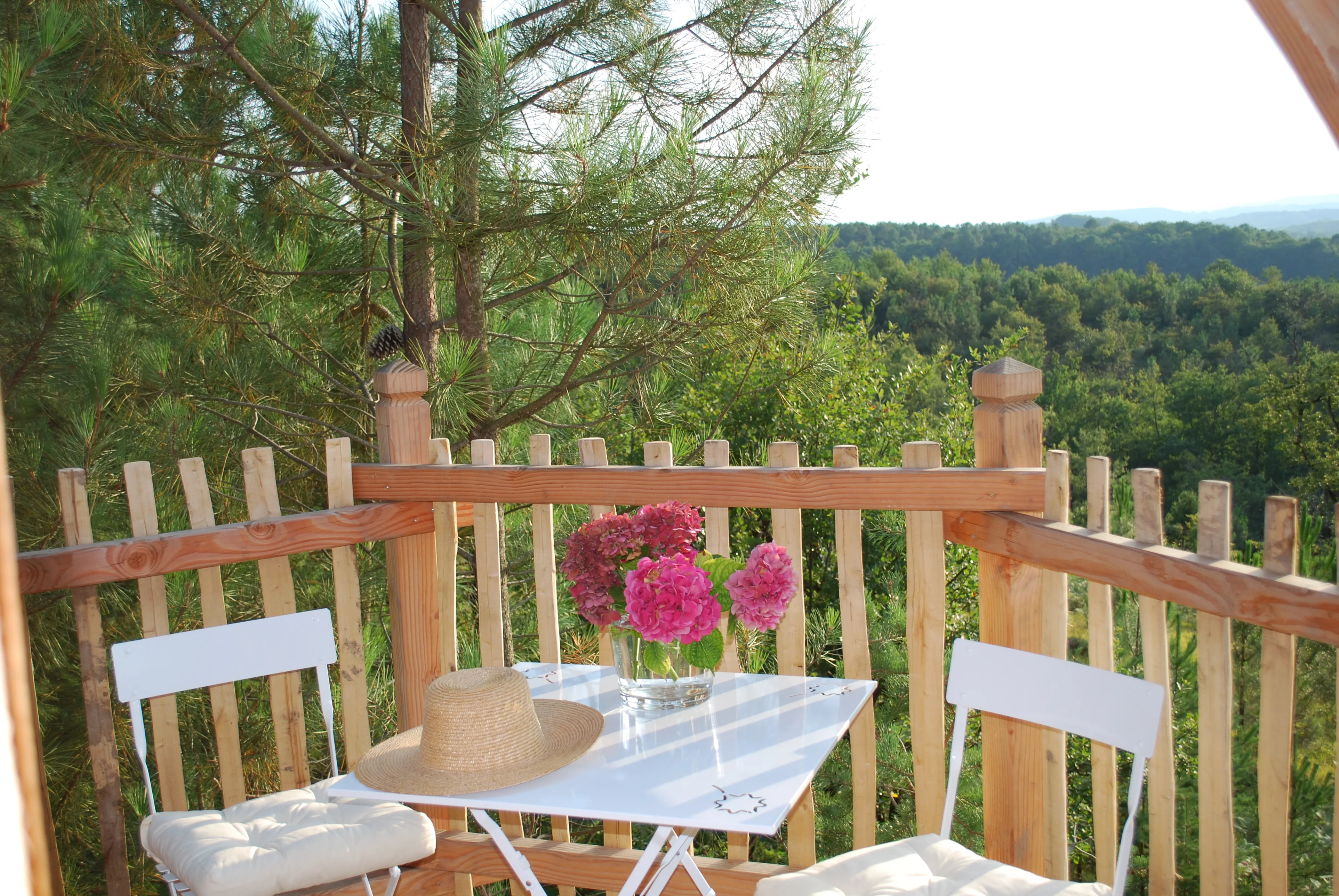 terrasse cabane vue panoramique