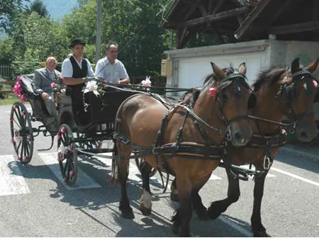 Caleche en Isere à Saint-Hilaire-de-la-Côte, Isère (38)