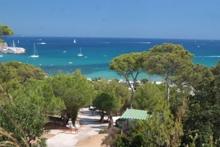 Camp du Domaine à Bormes-les-Mimosas, Var (83)