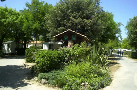 Camping des Gros Joncs à Saint-Georges-d'Oléron, Charente-Maritime (17)