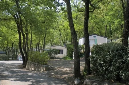 Camping Le Bois Fleuri à Argelès-sur-Mer, Pyrénées-Orientales (66)