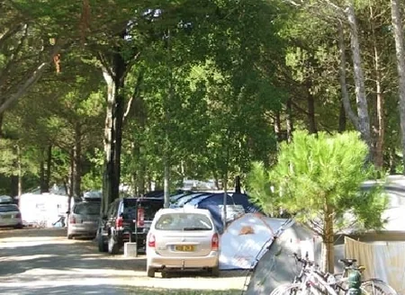 Camping Les Varennes à Le Bois-Plage-en-Ré, Charente-Maritime (17)