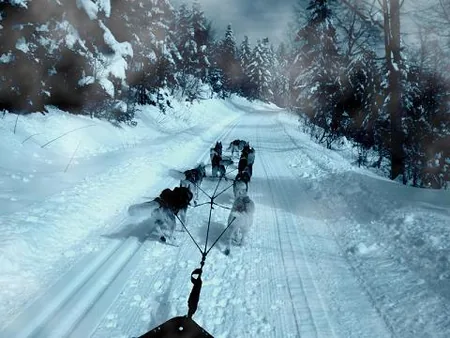 Canirando - Sur les traces de Kyskun à Cormaranche-en-Bugey, Ain (01)