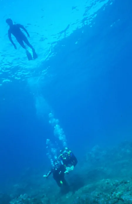 Cap Bleu à Tourbes, Hérault (34)