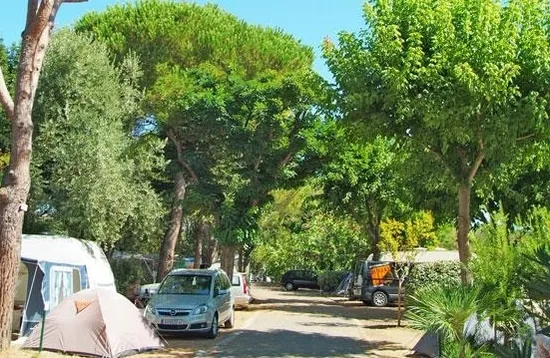 Camping Caravaning les Cigales à Mandelieu-la-Napoule, Alpes-Maritimes (06)