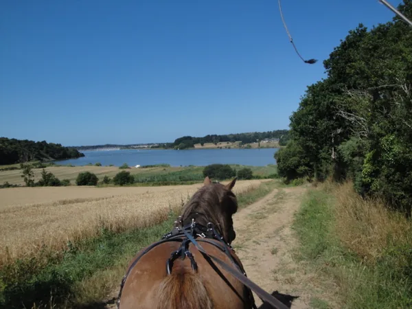 Caleche Nature Aventure à Férel, Morbihan (56)