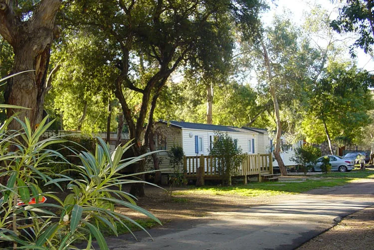 Camping Argentière à Mandelieu-la-Napoule, Alpes-Maritimes (06)