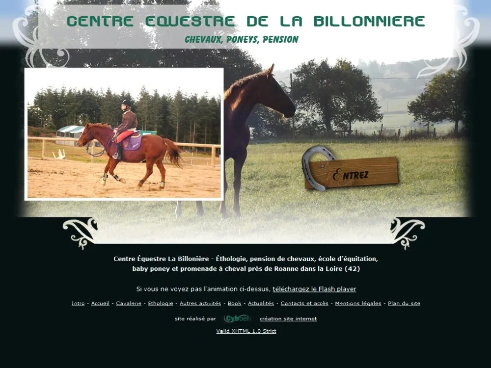 Centre Equestre de la Billonière à Lentigny, Loire (42)