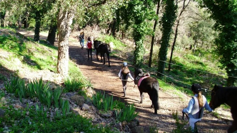 Centre équestre des Adrets - la Carriole à Les Adrets-de-l'Estérel, Var (83)