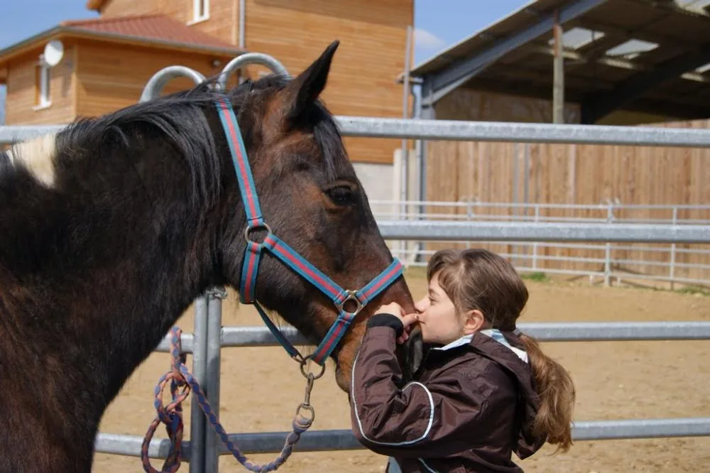 Centre Equestre des Monts d'or à Lissieu, Rhône (69)