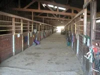 CENTRE ÉQUESTRE ET PONEY-CLUB SHU DE ROUEN à Mont-Saint-Aignan, Seine-Maritime (76)