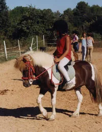 CENTRE EQUESTRE LA CADENCE à Saint-Drézéry, Hérault (34)