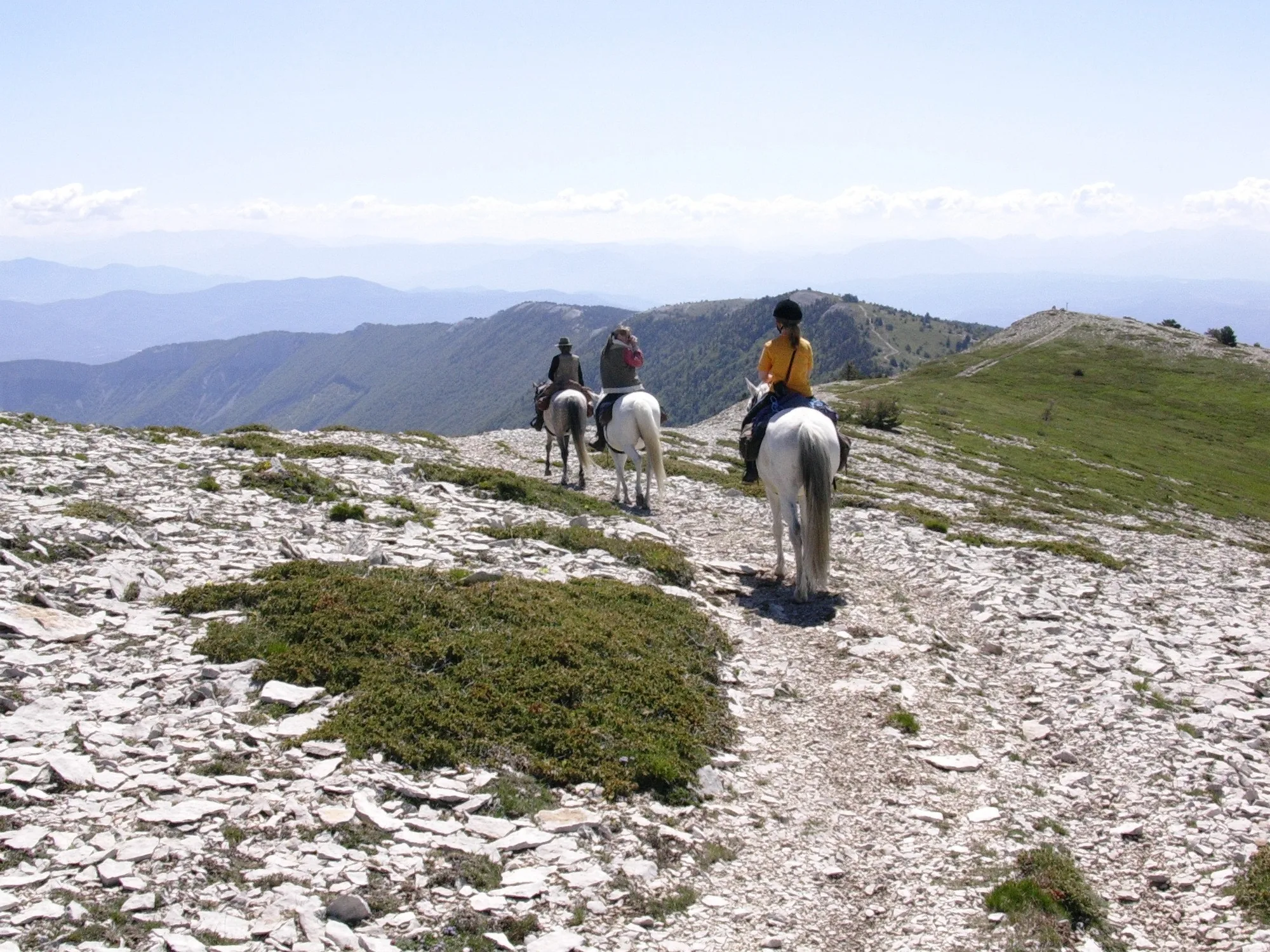 Centre Équestre les Granges à Ongles, Alpes-de-Haute-Provence (04)