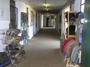 Centre Équestre Didier Fraysse Eurl à Limogne-en-Quercy, Lot (46)