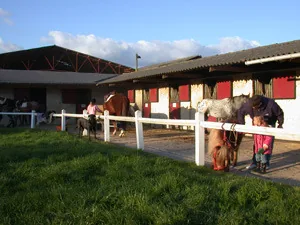 Centre Equestre de la Perchais à Montreuil-en-Touraine, Indre-et-Loire (37)